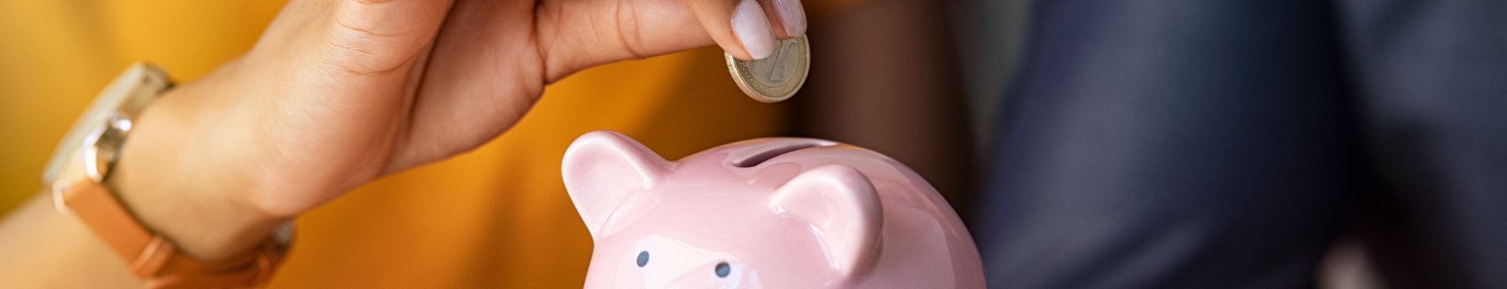 GRAWE 123 ŠTEDI_KASICA